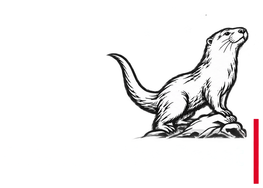Otters of the Coast